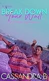 Break Your Wall (One Last Chance, #2)