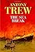 The Sea Break by Antony Trew