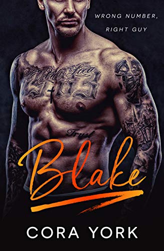 Blake (Broadaxe Security, #)