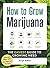 How to Grow Marijuana: The Easiest Guide to Growing Weed