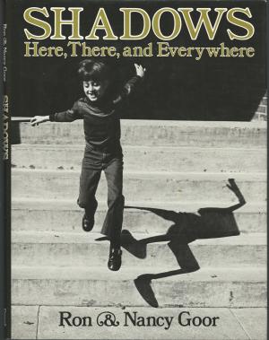 Shadows: Here, there, and everywhere