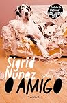 Book cover for O amigo (Portuguese Edition)