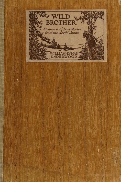 Wild Brother: Strangest of True Stories from the North Woods (Hardcover)