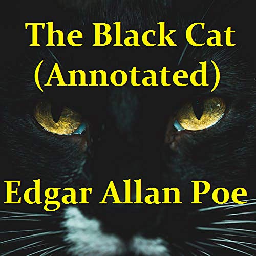 The Black Cat