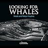 Looking for Whales