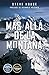 Más allá de la montaña