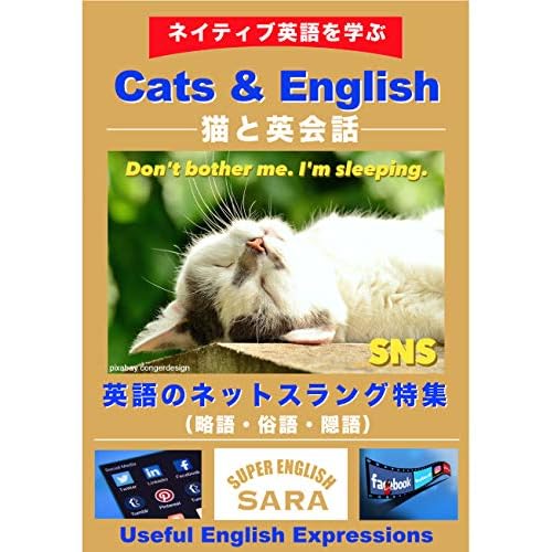 Cats And English Eigono Netslang Tokushu By Super English Sara By Super English Sara