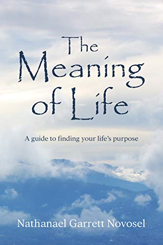 The Meaning of Life (Kindle Edition)