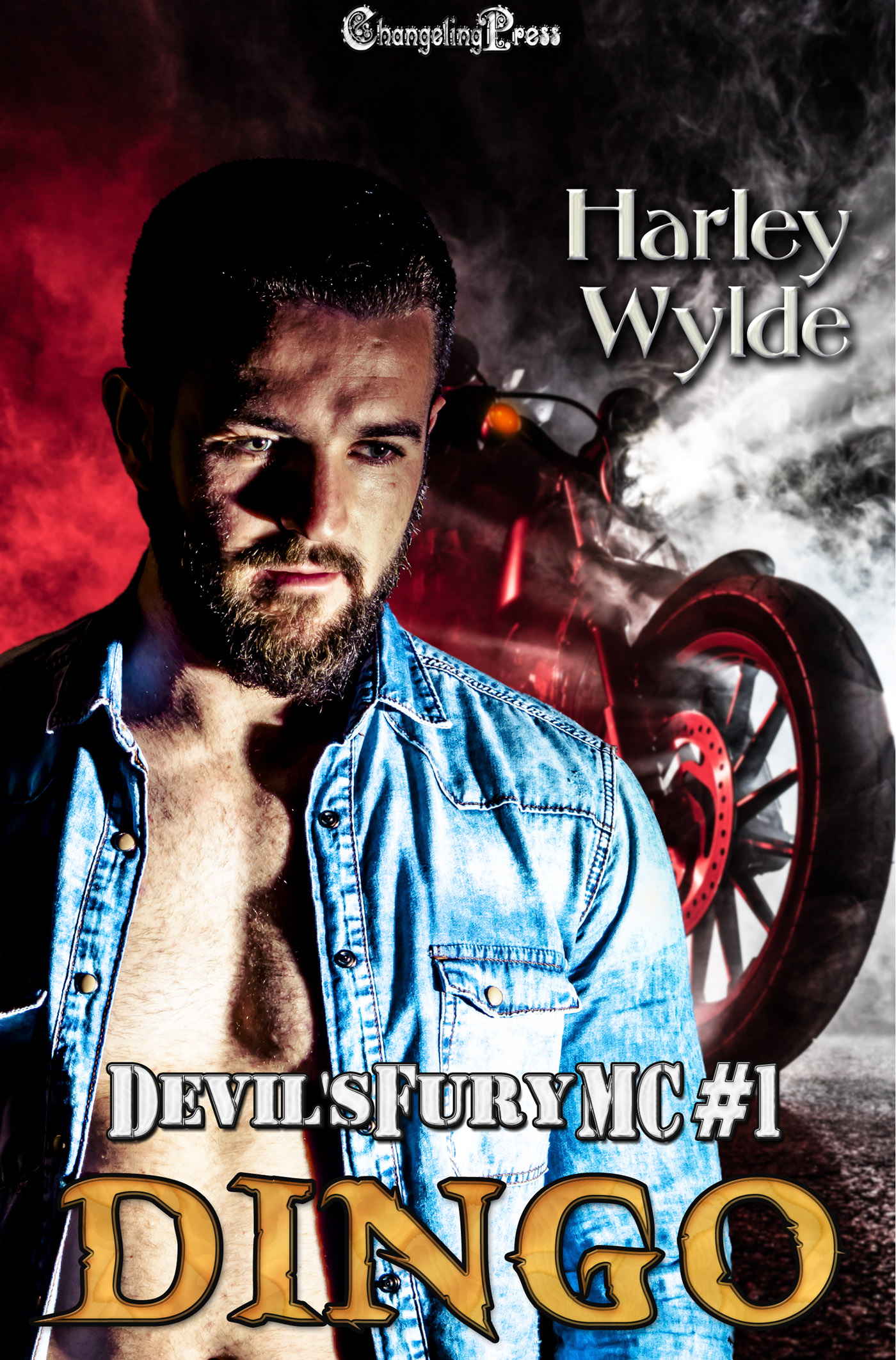 Dingo (Devil's Fury MC #1)