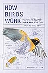 How Birds Work by Marianne Taylor