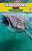 Whale Shark Facts: Books Fo...