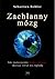 Zachłanny mózg. Jak nienasycony homo sapiens skazuje świat na... by Sébastien Bohler