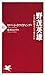 野茂英雄―日米の野球をどう変えたか