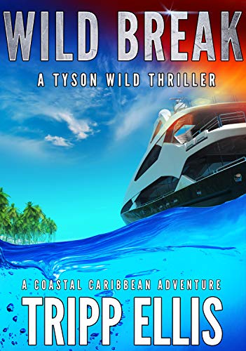 Wild Break (Tyson Wild Thriller, #12)
