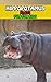 Hippopotamus Facts: Hippo F...