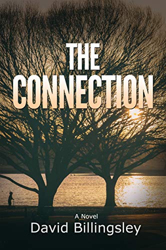 The Connection (Kindle Edition)