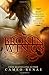 Broken Wings (Hidden Wings, #2)