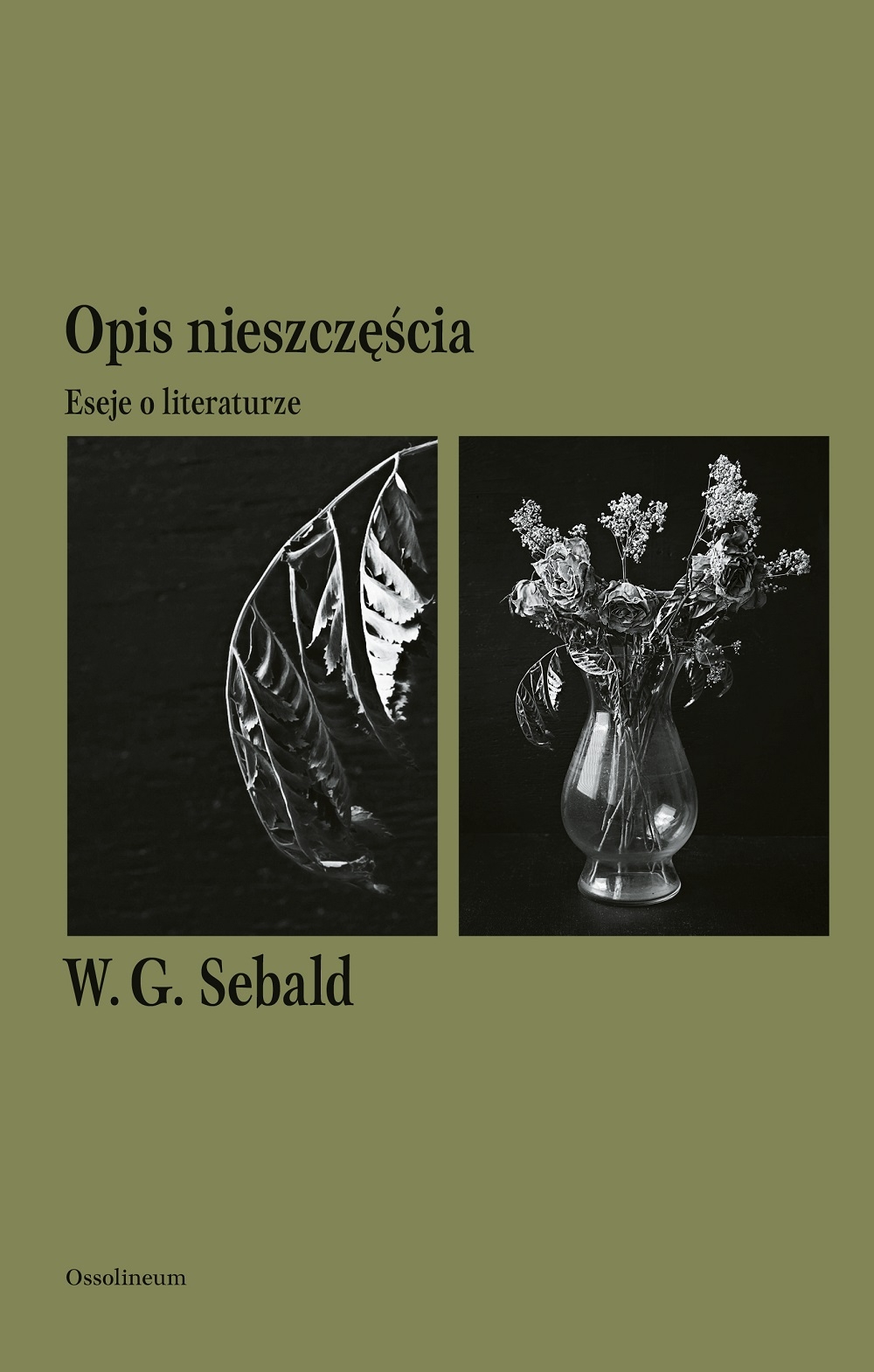 Opis nieszczęścia. Eseje o literaturze (Paperback)