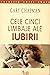 Cele cinci limbaje ale iubirii