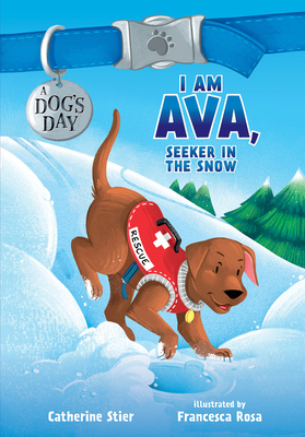 I Am Ava, Seeker in the Snow (Hardcover)