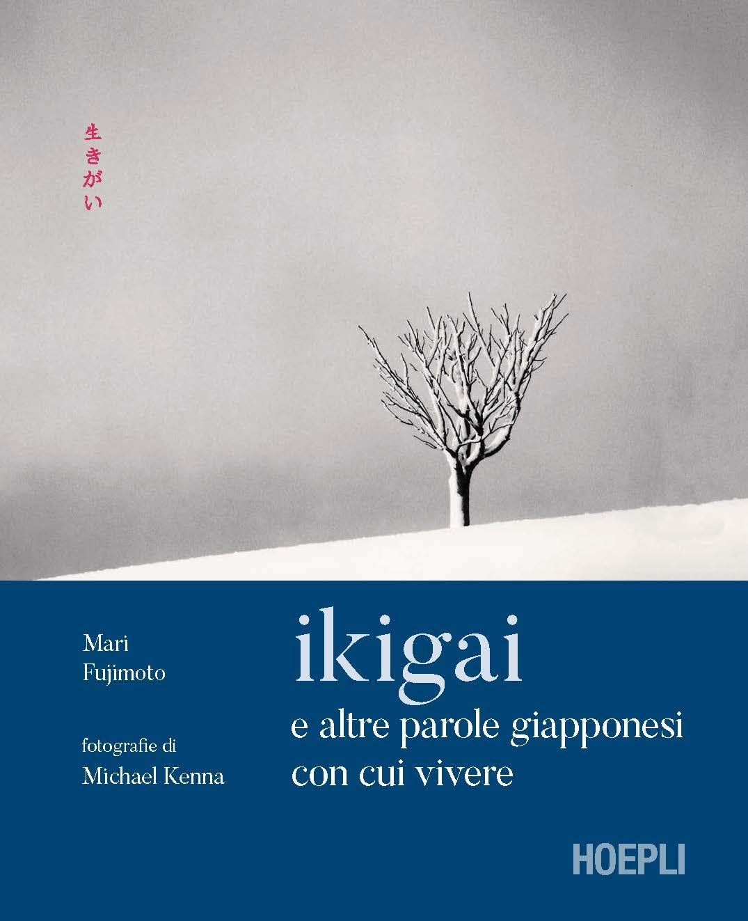 Ikigai e altre parole giapponesi con cui vivere