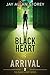 Arrival by Jay Allan Storey