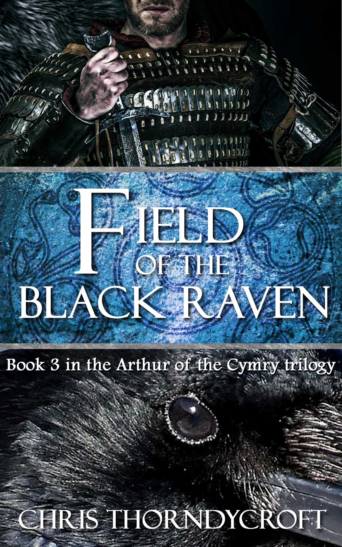 Field of the Black Raven (Arthur of the Cymry #3)