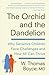 The Orchid and the Dandelion: Why Sensitive Children Face Challenges and How All Can Thrive