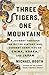 Three Tigers, One Mountain A Journey Through the Bitter History and Current Conflicts of China, Korea, and Japan by Michael Booth