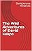 The Wild Adventures of David Felipe by David Jerome Hendricks