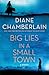 Big Lies in a Small Town