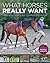 What Horses Really Want: An Unexpected Guide to New Directions in Horsemanship
