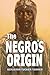 The Negro's Origin (1869)