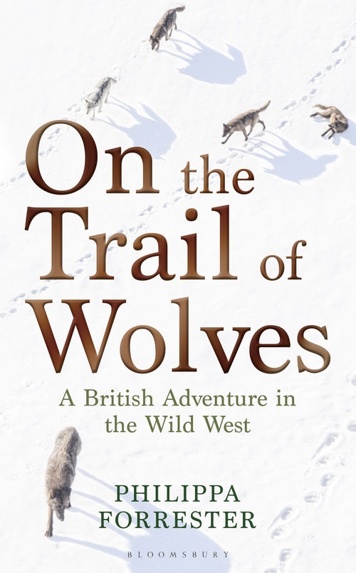 On the Trail of Wolves (Hardcover)