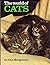 The World of Cats