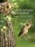 With Wings Extended: A Leap into the Wood Duck's World (Bur Oak Book)