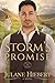 Storm's Promise (Another Sp...