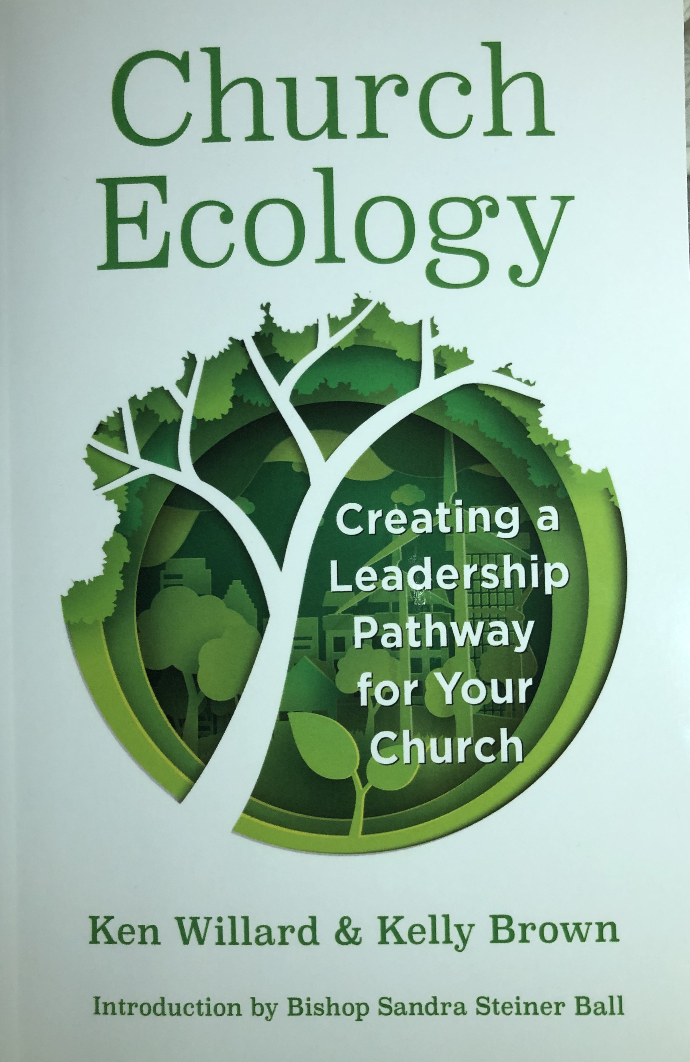 Church Ecology: Creating a Leadership Pathway for Your Church