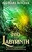 Into the Labyrinth: Dreamwe...