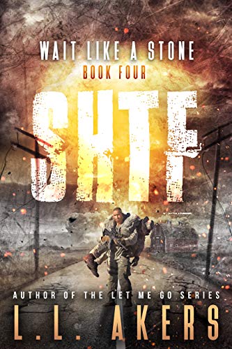 Wait Like a Stone (SHTF #4)