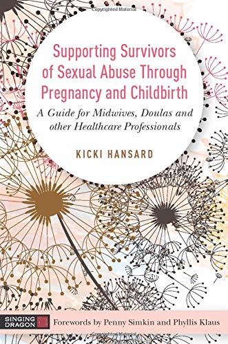 Supporting Survivors of Sexual Abuse Through Pregnancy and Childbirth (Paperback)