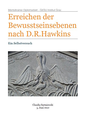 Erreichen der Bewusstseinsebenen nach D.R.Hawkins: Ein Selbstversuch