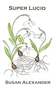Super Lucid