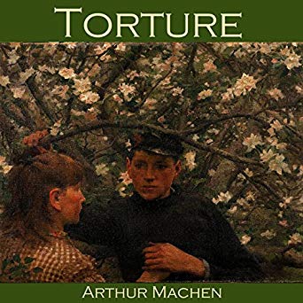 Torture (Audible Audio)