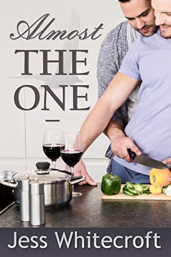 Almost The One (Kindle Edition)