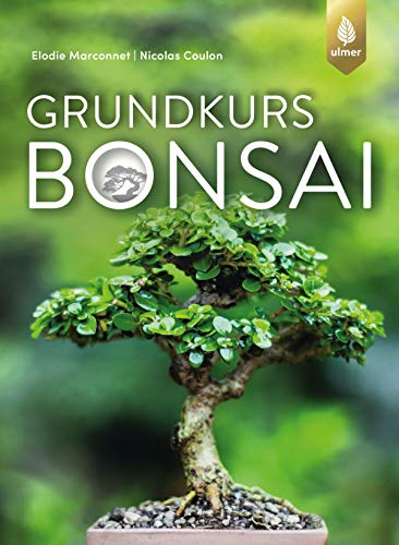 Grundkurs Bonsai (German Edition)