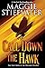 Call Down the Hawk (The Dreamer Trilogy, Book 1) (1)