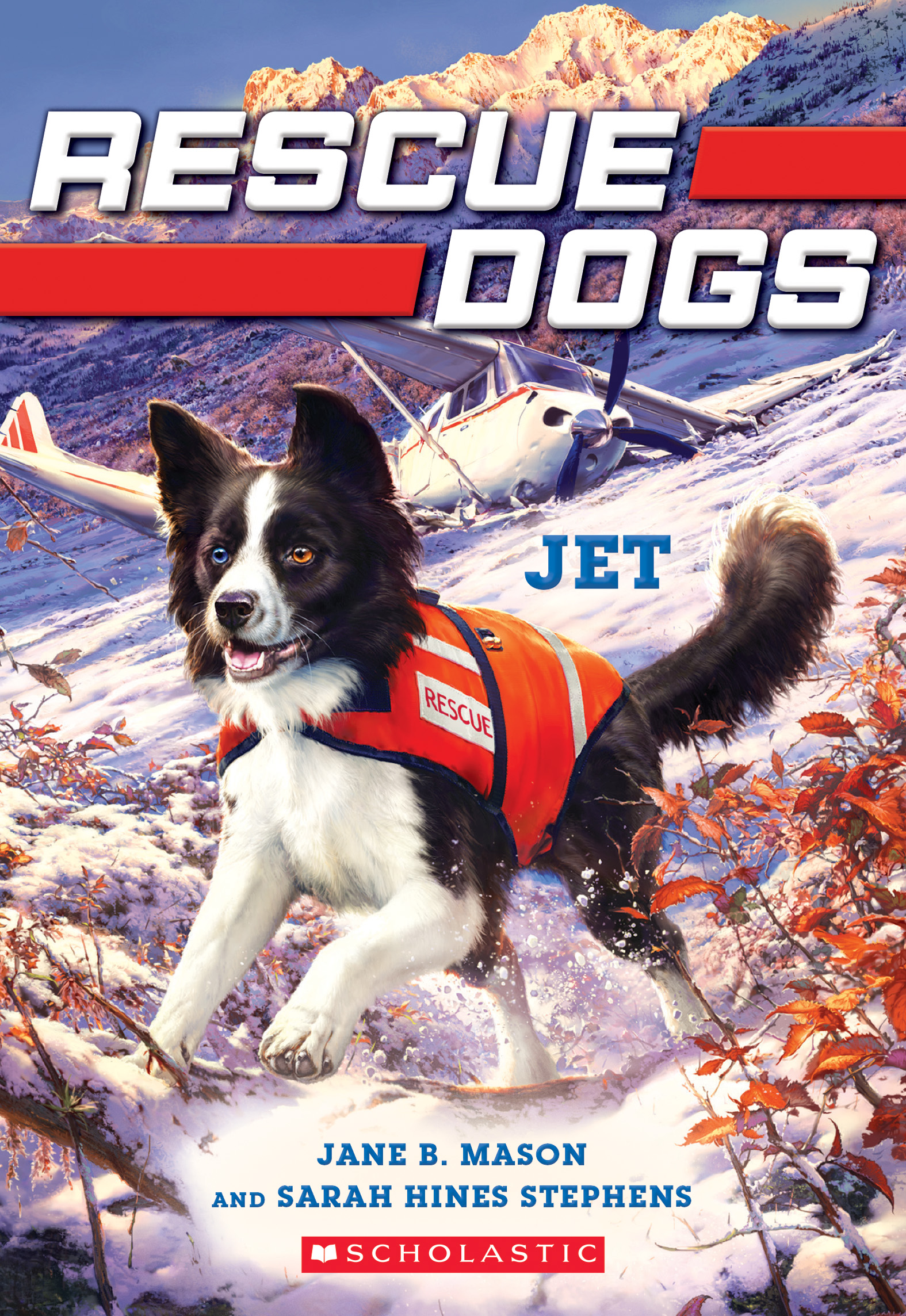Jet (Rescue Dogs, #3)