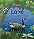 Lake: A See to Learn Book
