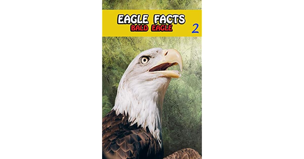 Eagle Facts: Bald Eagles Books For Kids Series For Girls or Boys Ages 4